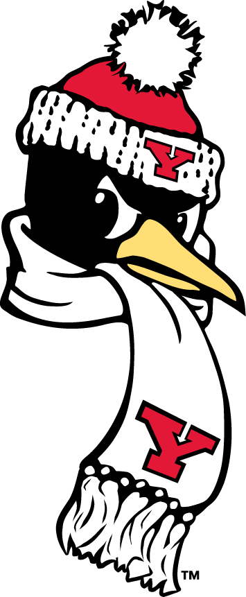 Youngstown State Penguins 1993-Pres Alternate Logo v8 diy fabric transfer